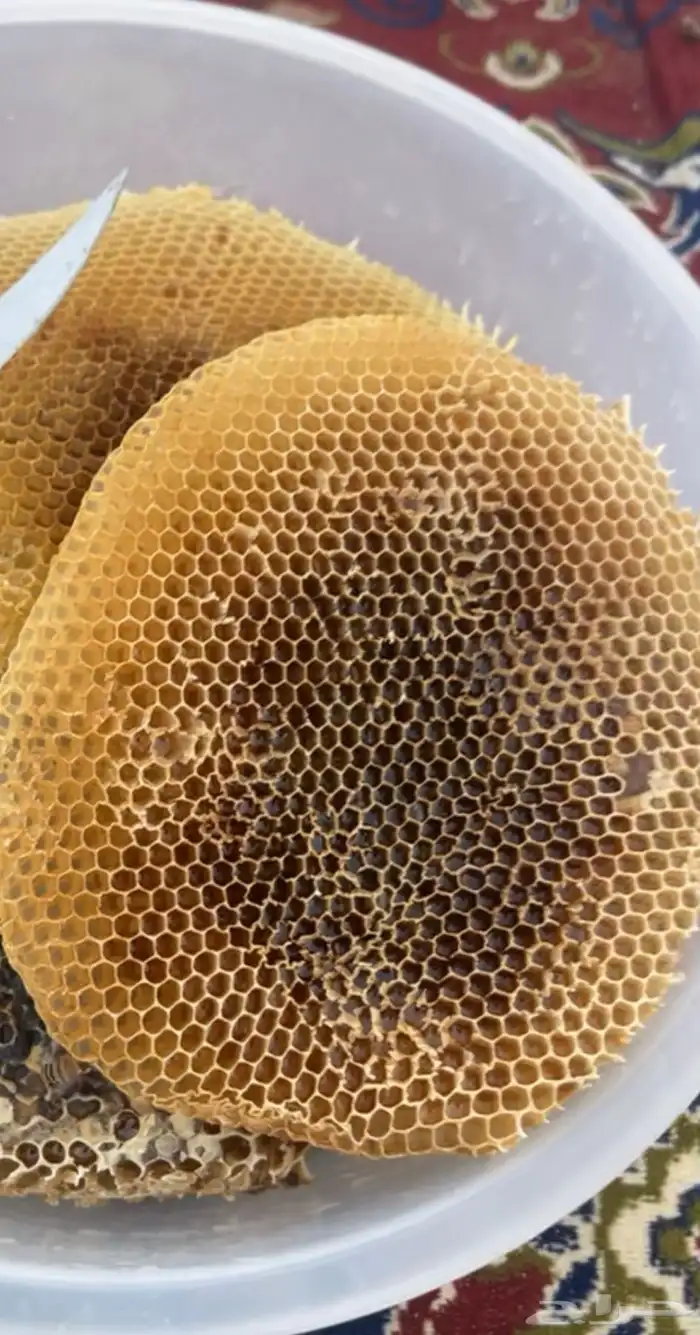 عسل جبلي صافي جديد من منحلي شخصيا 3