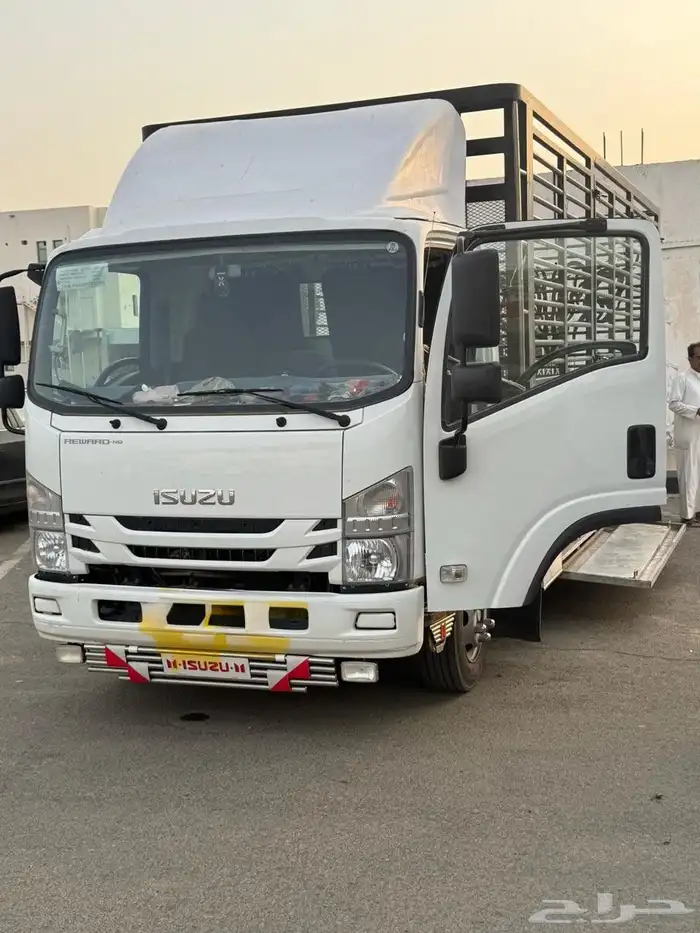 دينه جامبو سته ونص متر ارتفاع مترين 2