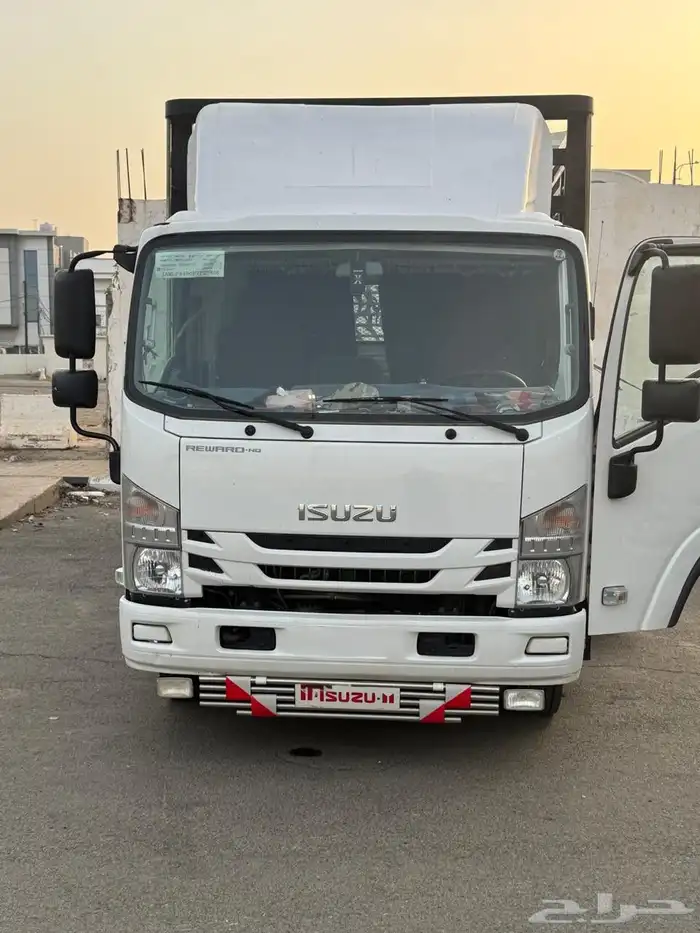 دينه جامبو سته ونص متر ارتفاع مترين 1