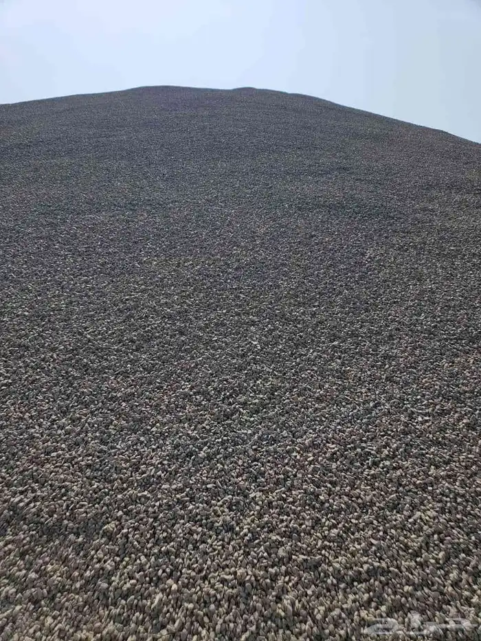 بحص للبيع 4 3 وبحص 8 3 وبحص 5 0 وبودرة وعدسيه وبيسكورس 0