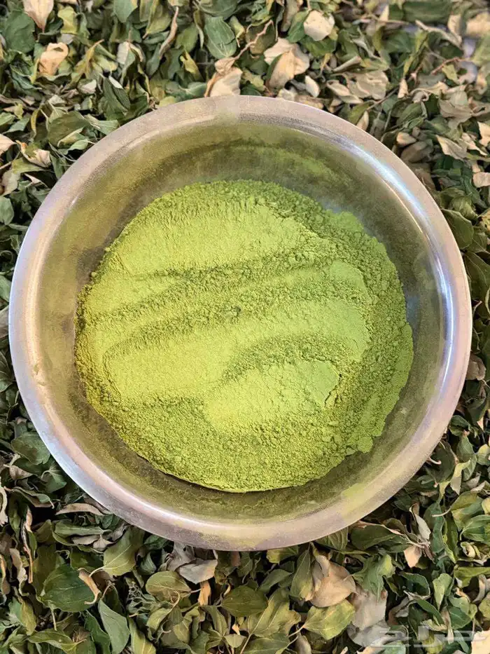 سدر طبيعي عضوي من المزرعه 2