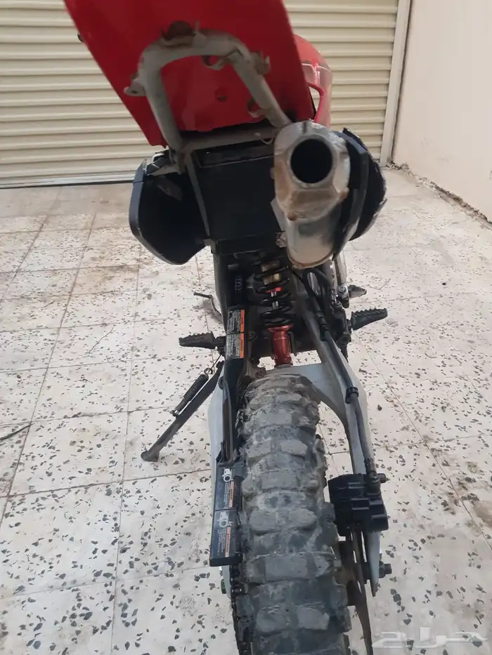 دباب صحراوي 5