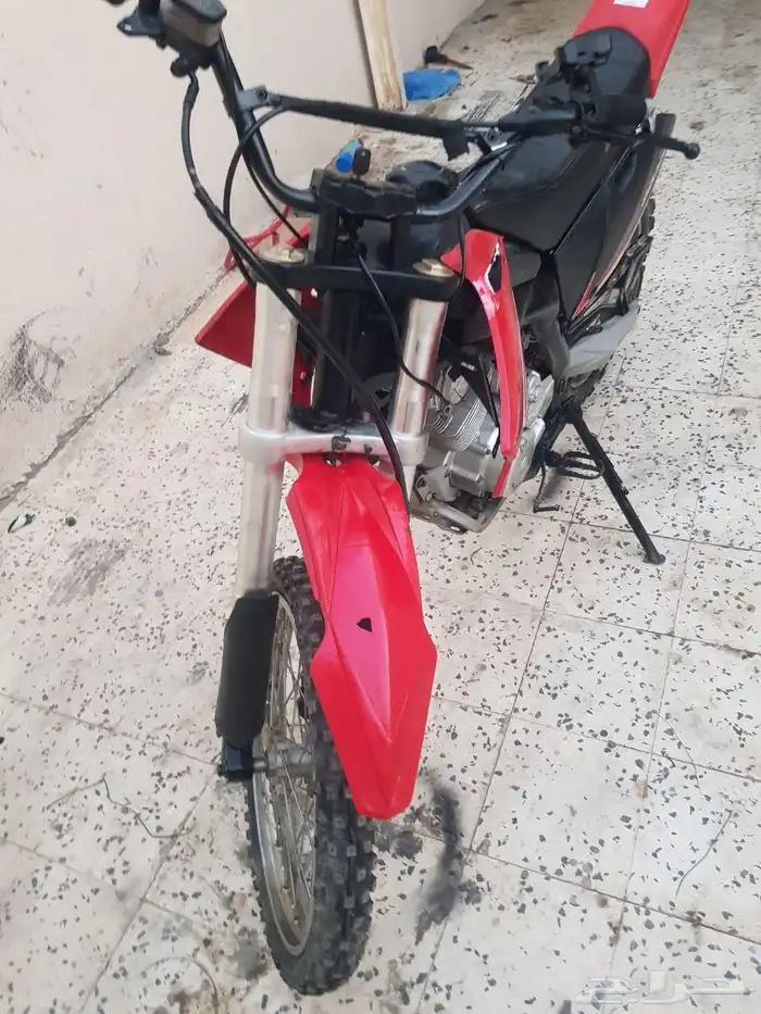 دباب صحراوي 3