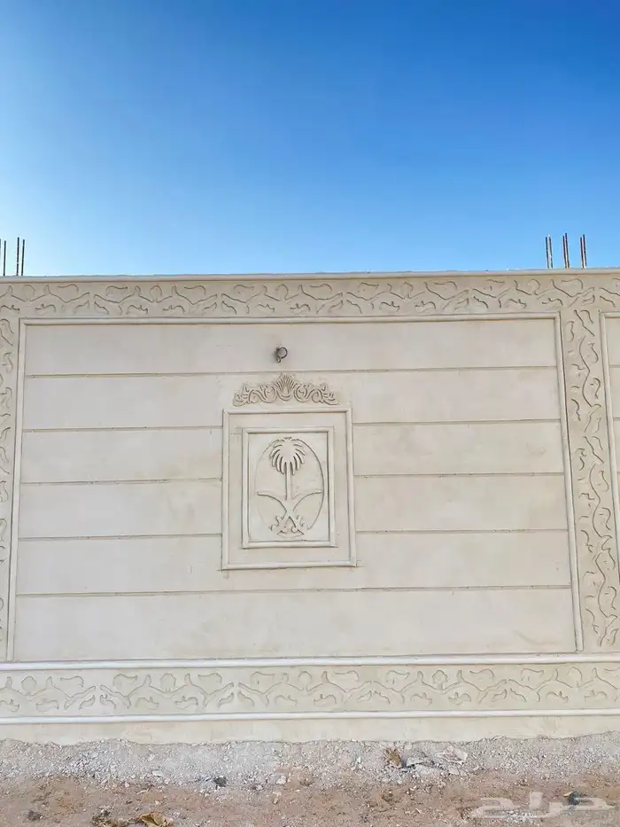 الرياض 6