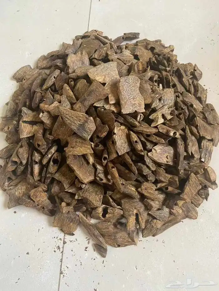 جمله اكتر من 500 كيلو جرام من خشب العود الاصلي للبيع في الري 1