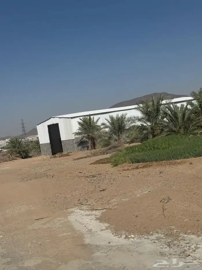 للإيجار مستودع واستراحة طريق الهجرة مباشرة قرب محطة الفريدي 0