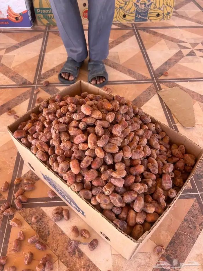 تمر خلاص انتاج مزارع غرب الجبيل اكثر من 90 كرتون وزن 20 ك 0