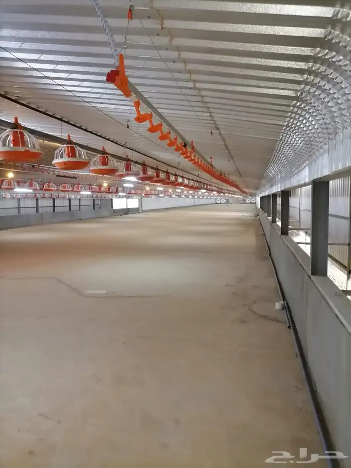 موسسه مقاولات لأنشاء حضائر الدواجن واللوحات الكهربائيه 4