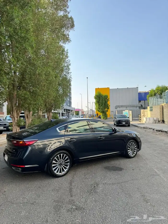 كادينزا 2020 ستاندر 11