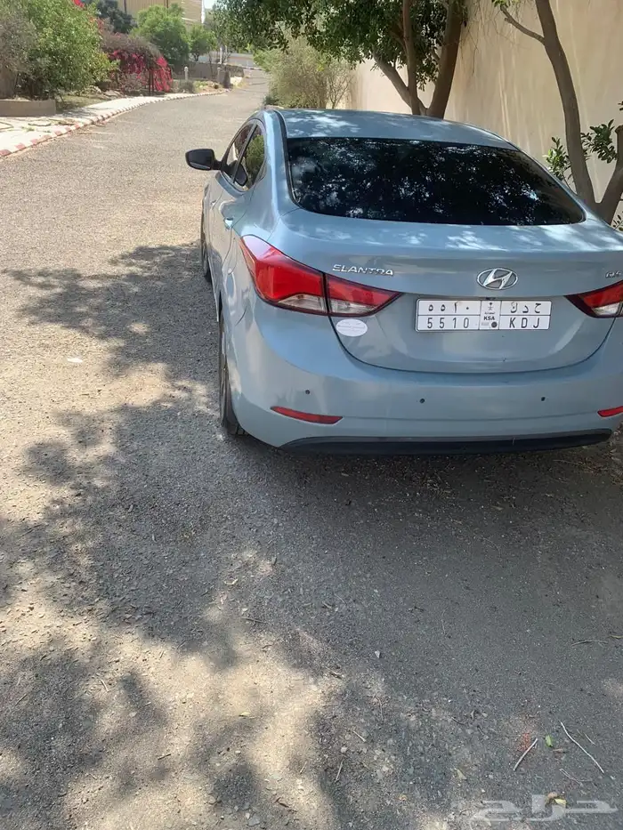 اللنترا 2014 12