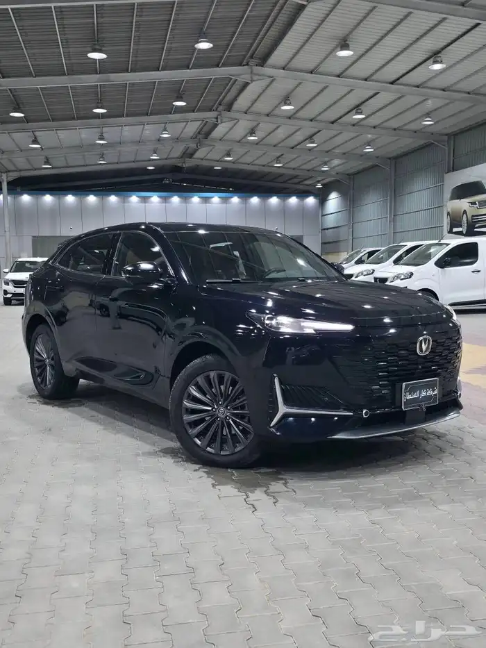 شانجان - يوني كي - 2023 3