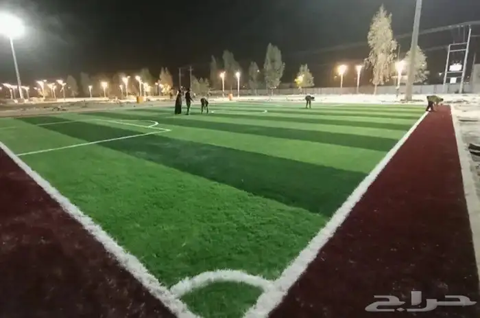 عشب ملاعب ثيل ملاعب 1