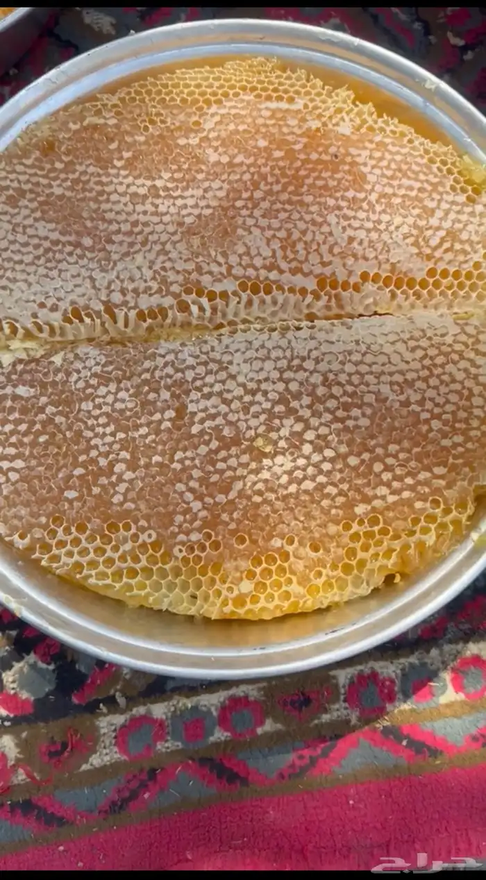 قص عسل السدر الله يطرح البركه 0