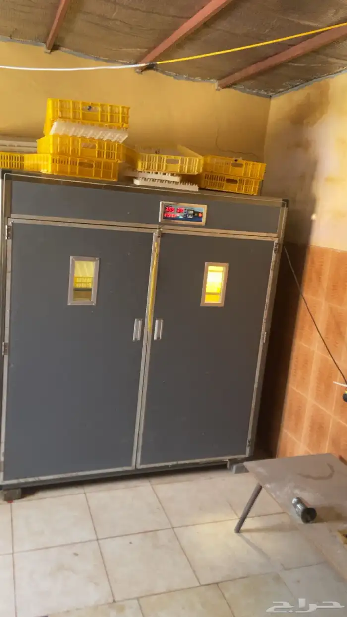 فقاسه للبيع 2100 بيضه 2
