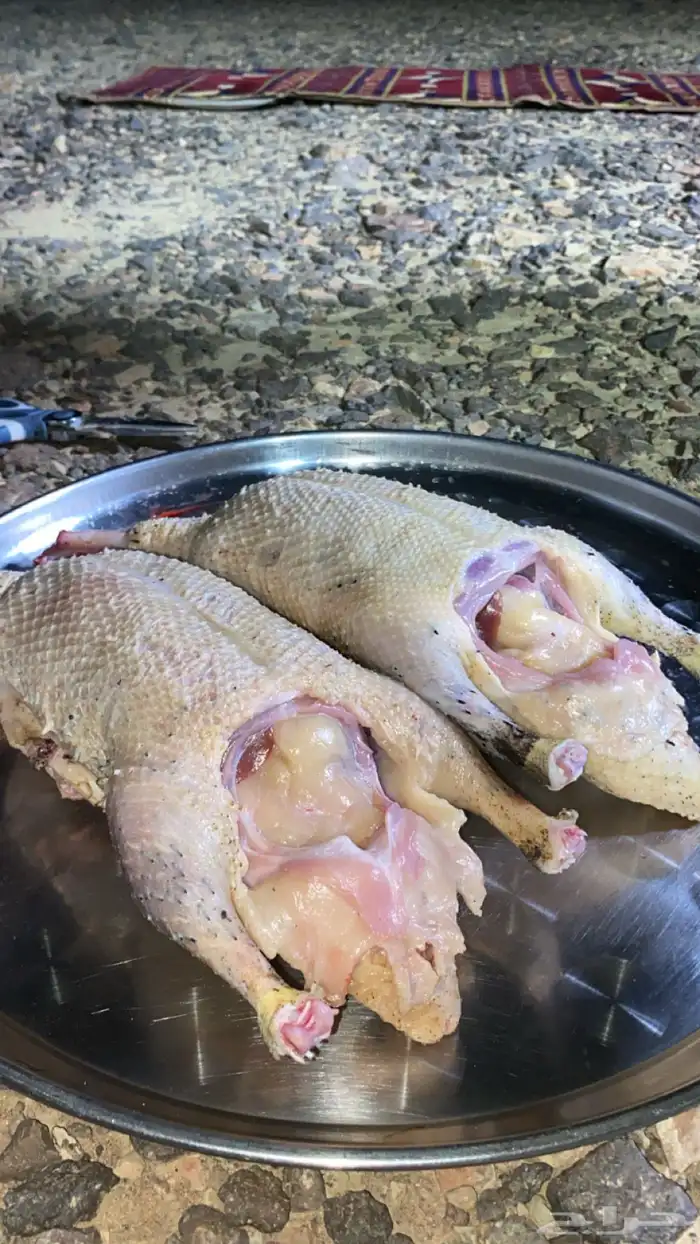 بط مصري 2
