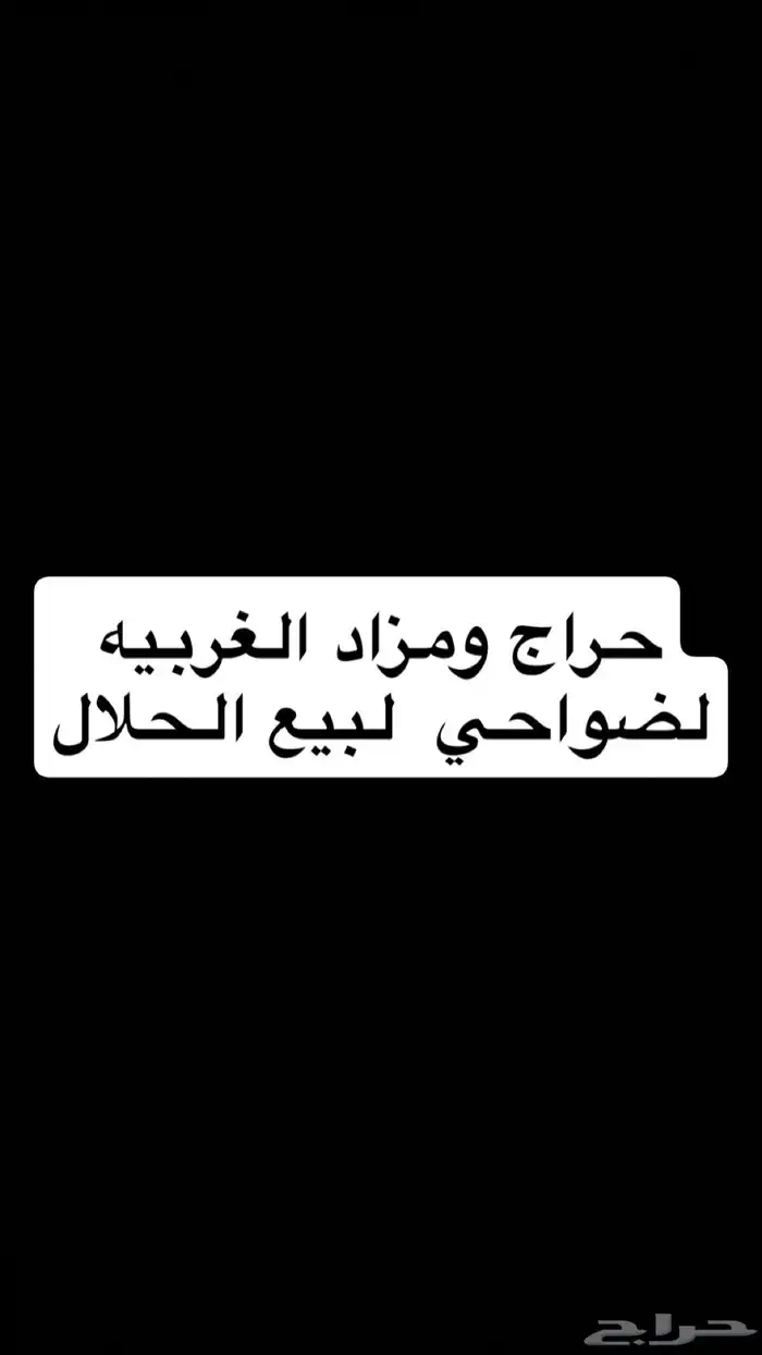 قروب مزاد وحراج لضواحي لبيع الحلال 0
