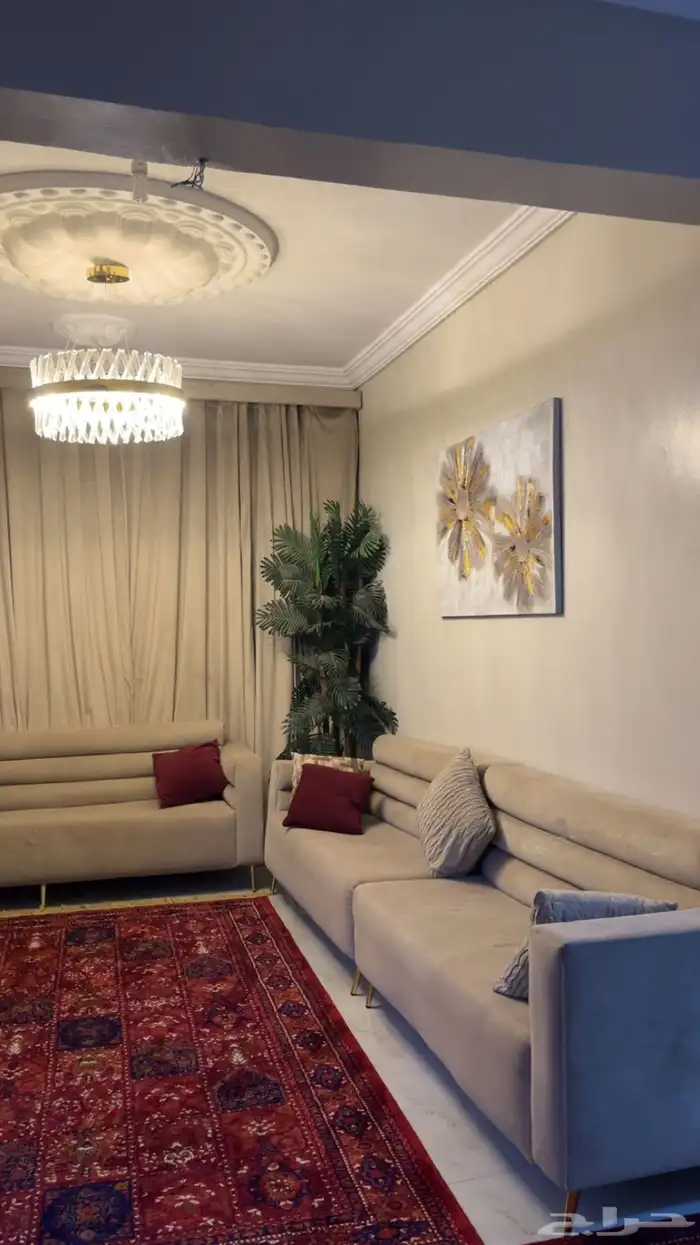 كنب وستاره للبيع استخدام نظيف 1