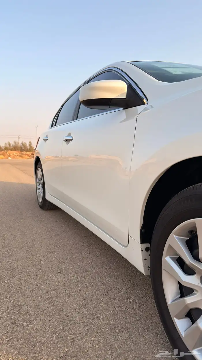 التيما 2018 ستاندر 7