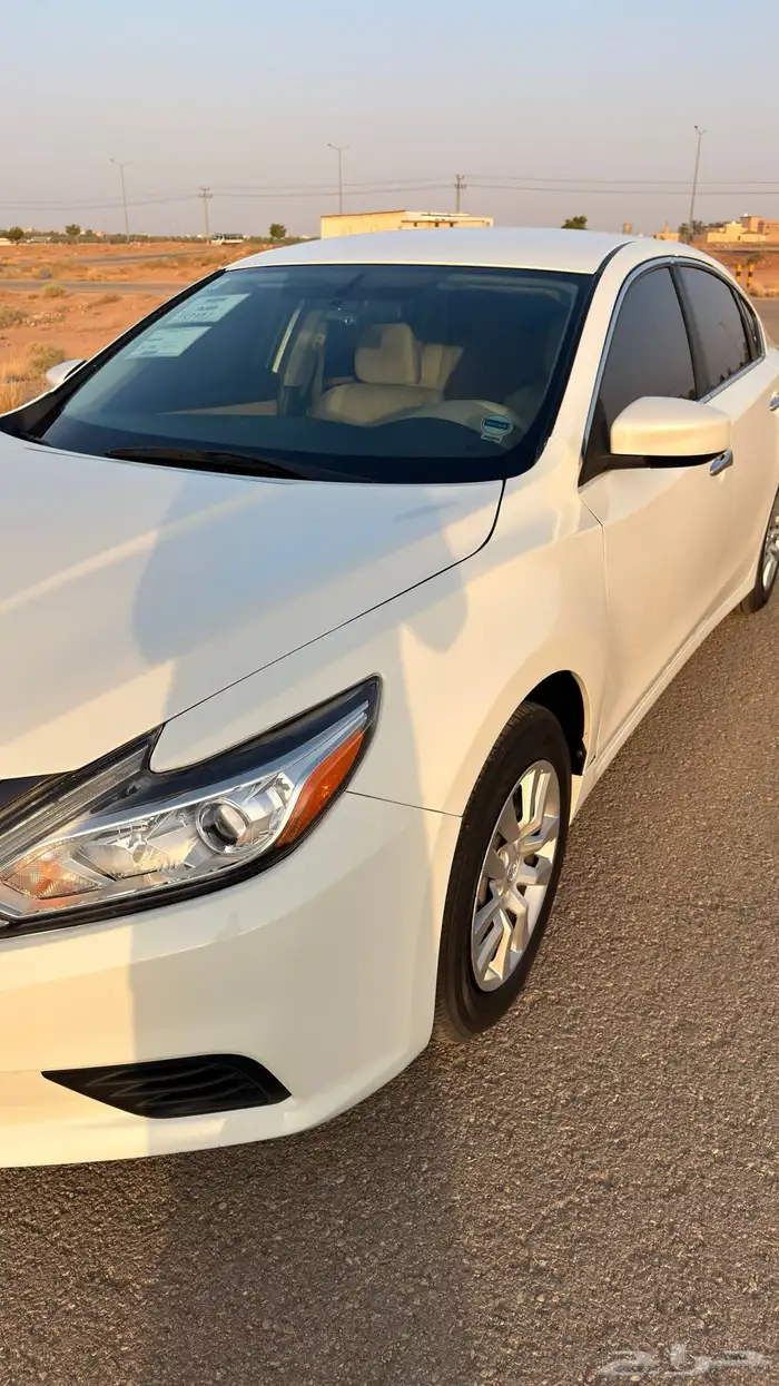 التيما 2018 ستاندر 23