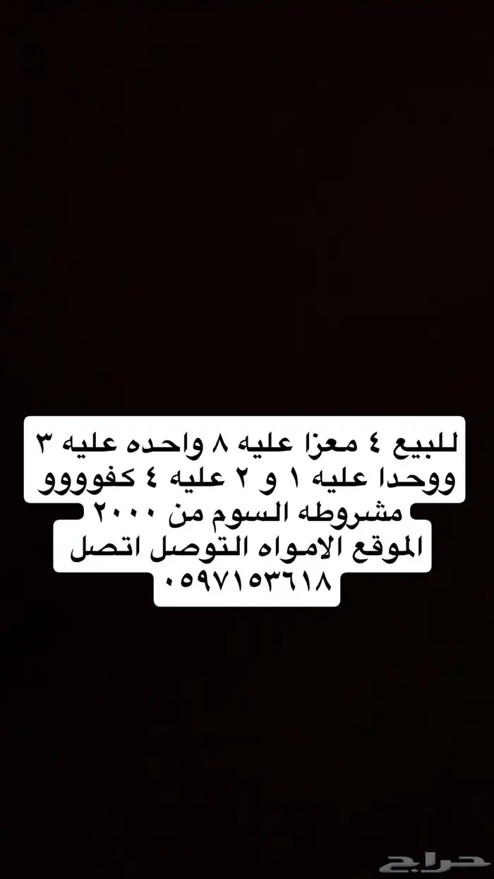 معزا متابيع للبيع 0