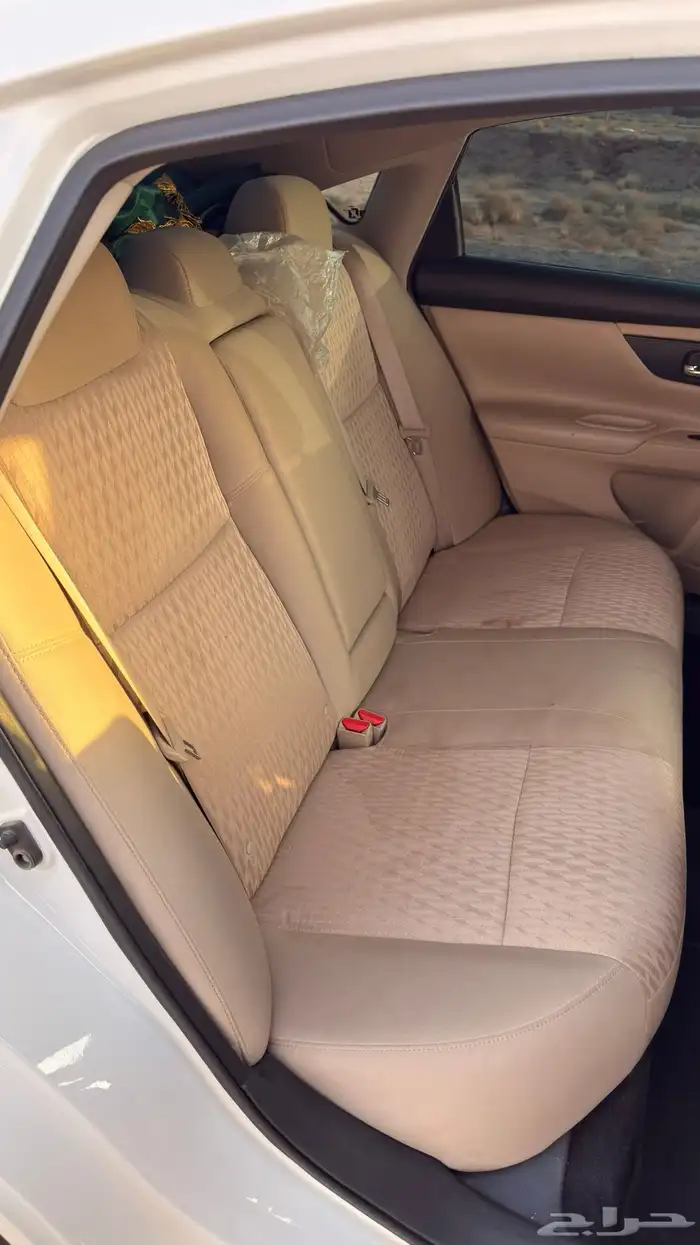 التيما 2018 ستاندر 14