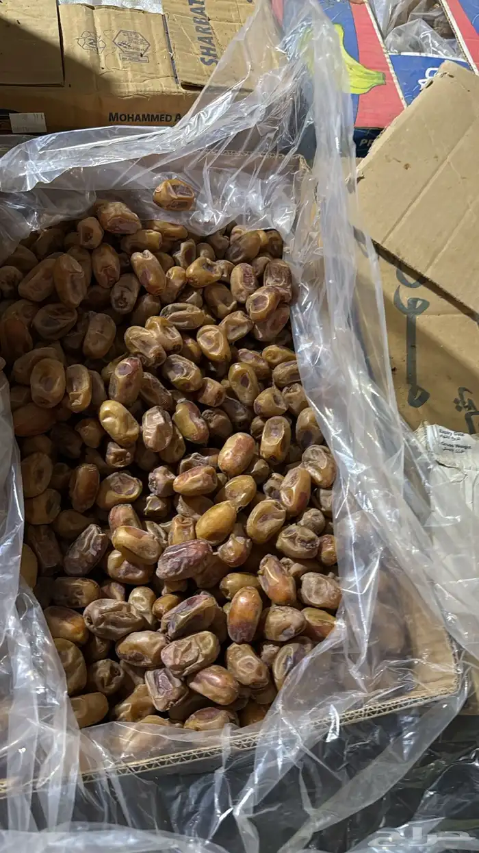 تمر صقعي وخلاص ونبوت سيف 1