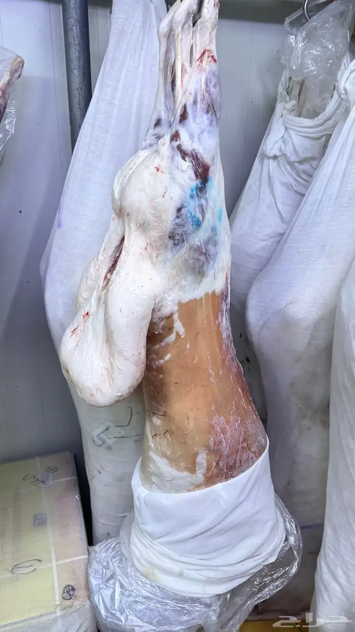 نعيمي بلدي سواكني نعيمي هرافي حري 0