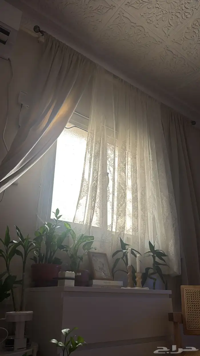 ستارة استخدام نظيف موديل أمريكي مع الحديد لايوجد عيوب 3