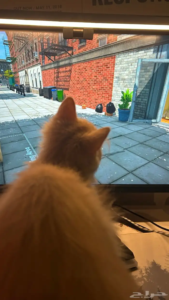 انباعت 2