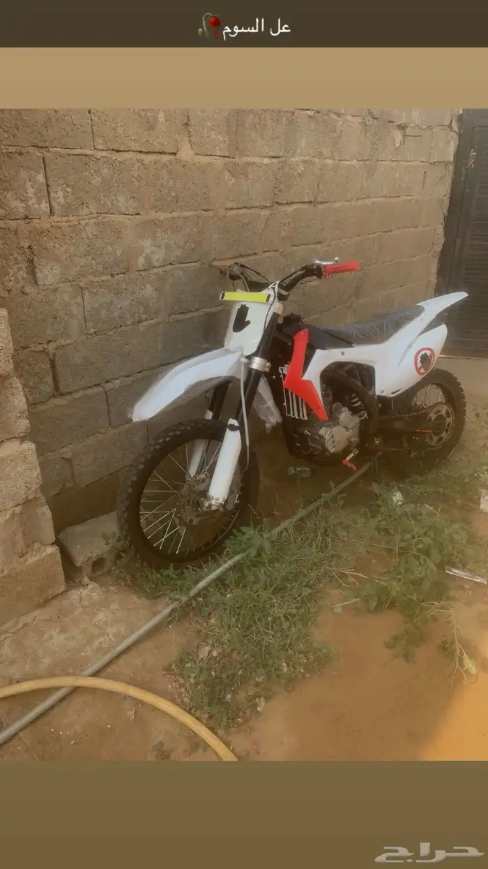 صحروي للبيع الي تعجبني سومته بعت السوم وصل اليوم 4500 2