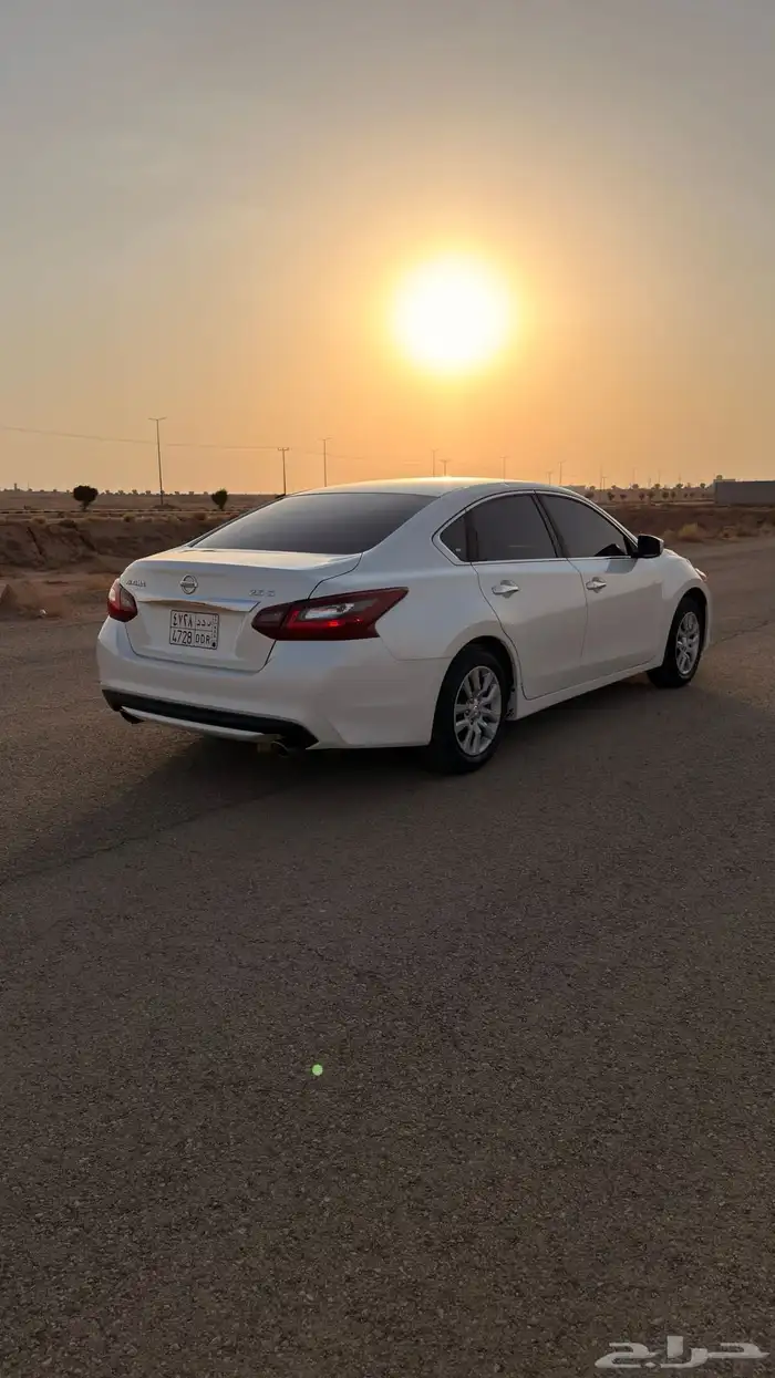 التيما 2018 ستاندر 4