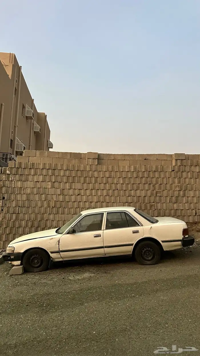 كرسيدا 95 للبيع 0