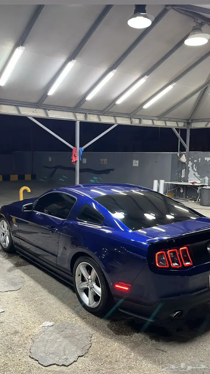 موستنج 2012 لوحات اماراتيه 2