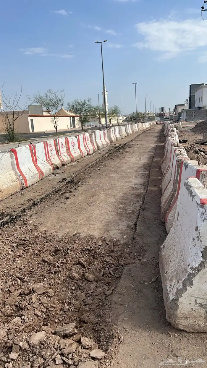 سفتى للبيع 1400 حبه 2