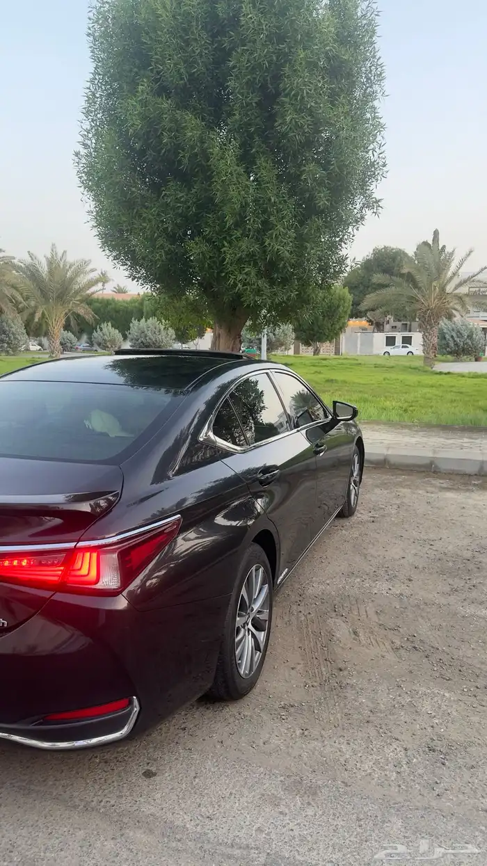 لكزس اي اس 350 2019 مخزن 2