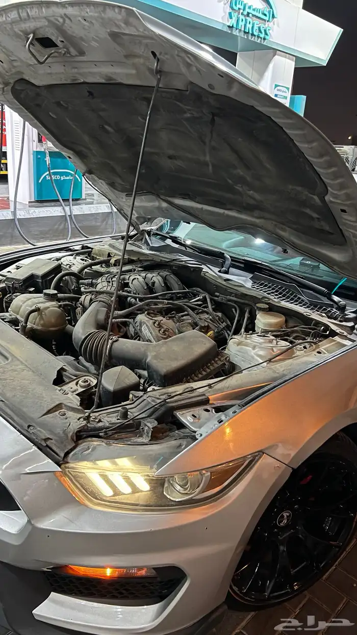 موستنق v6 2015 9
