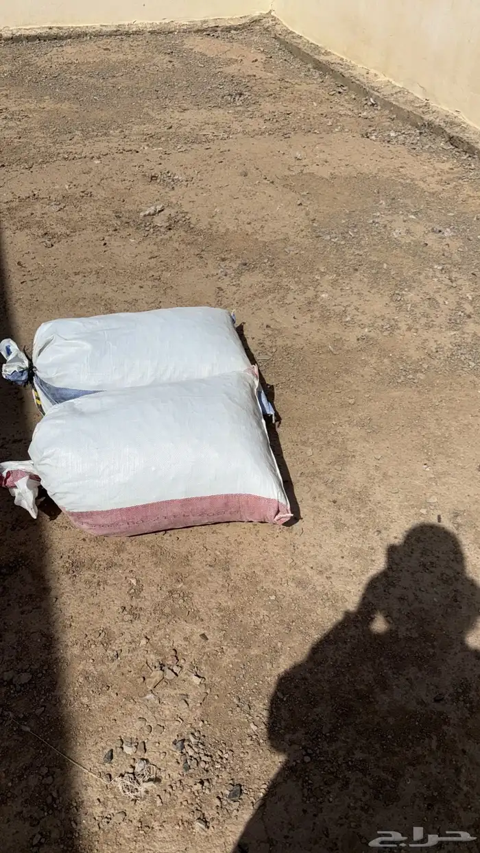 تمر علف الموقع الكهيفية 1