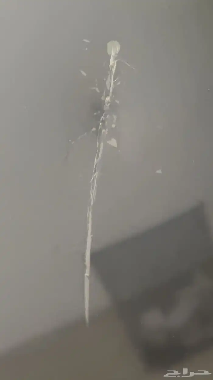 شاشة 55 بوصة 1