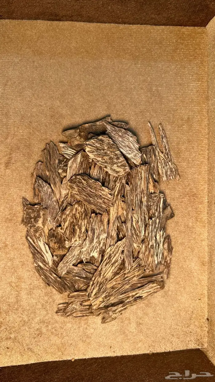 عود سومطري طبيعي فخم 1