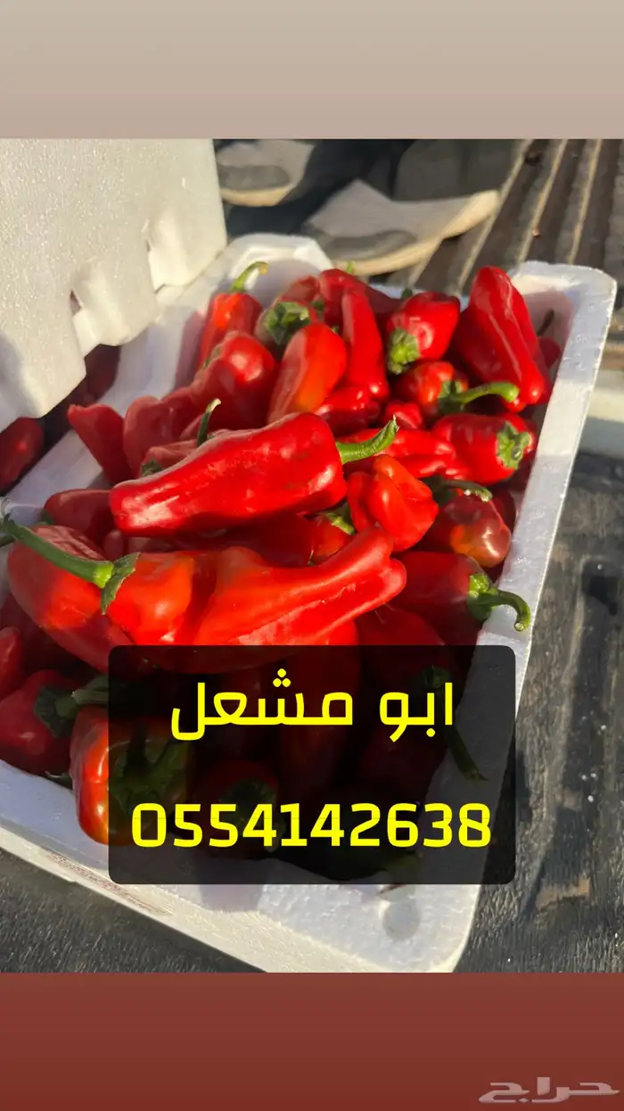خضار طازجة 3