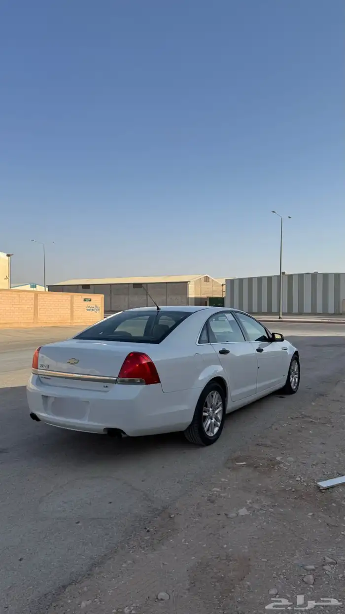 كابرس 2013 4
