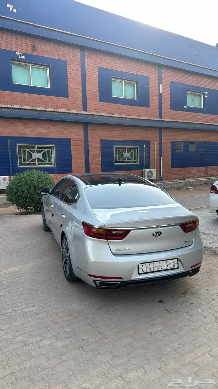 كادنزا 10