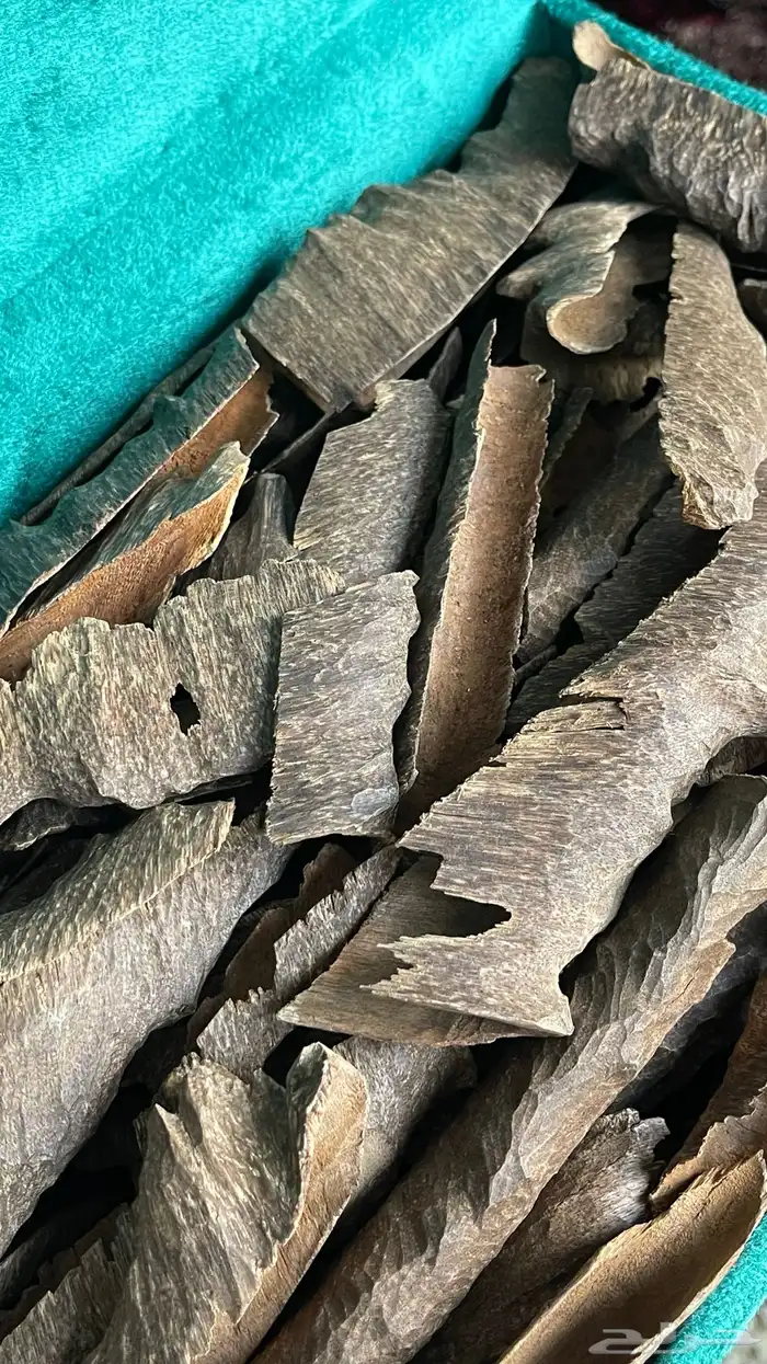 عود زوايا هندي قرميد طبيعي فاخر 8