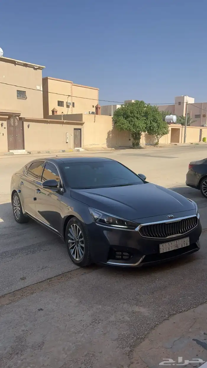 كادينزا 2018 5
