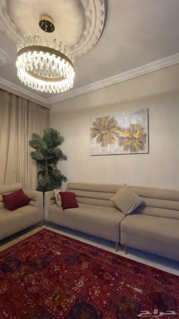 كنب وستاره للبيع استخدام نظيف 0