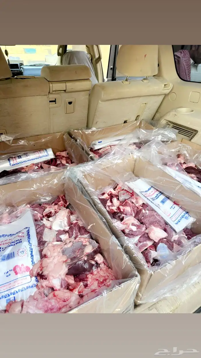 حشو وضح ومجاهيم جمله وتفريد 3