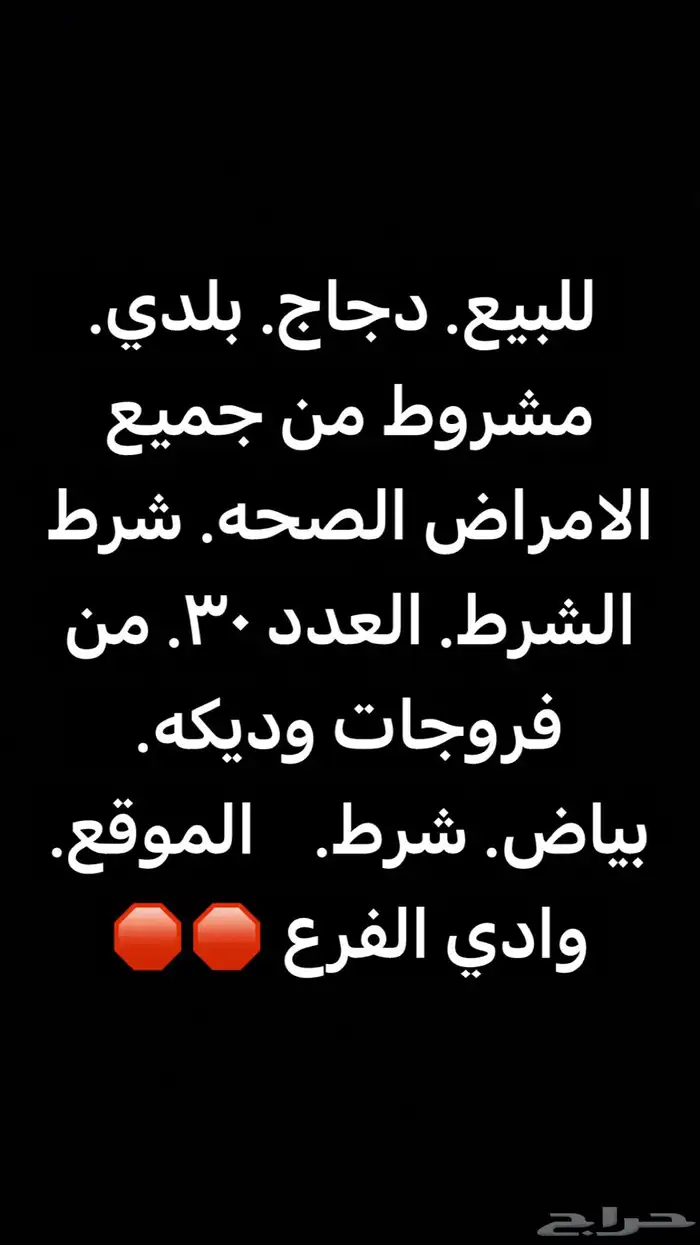 دجاج. بياض شرط 0