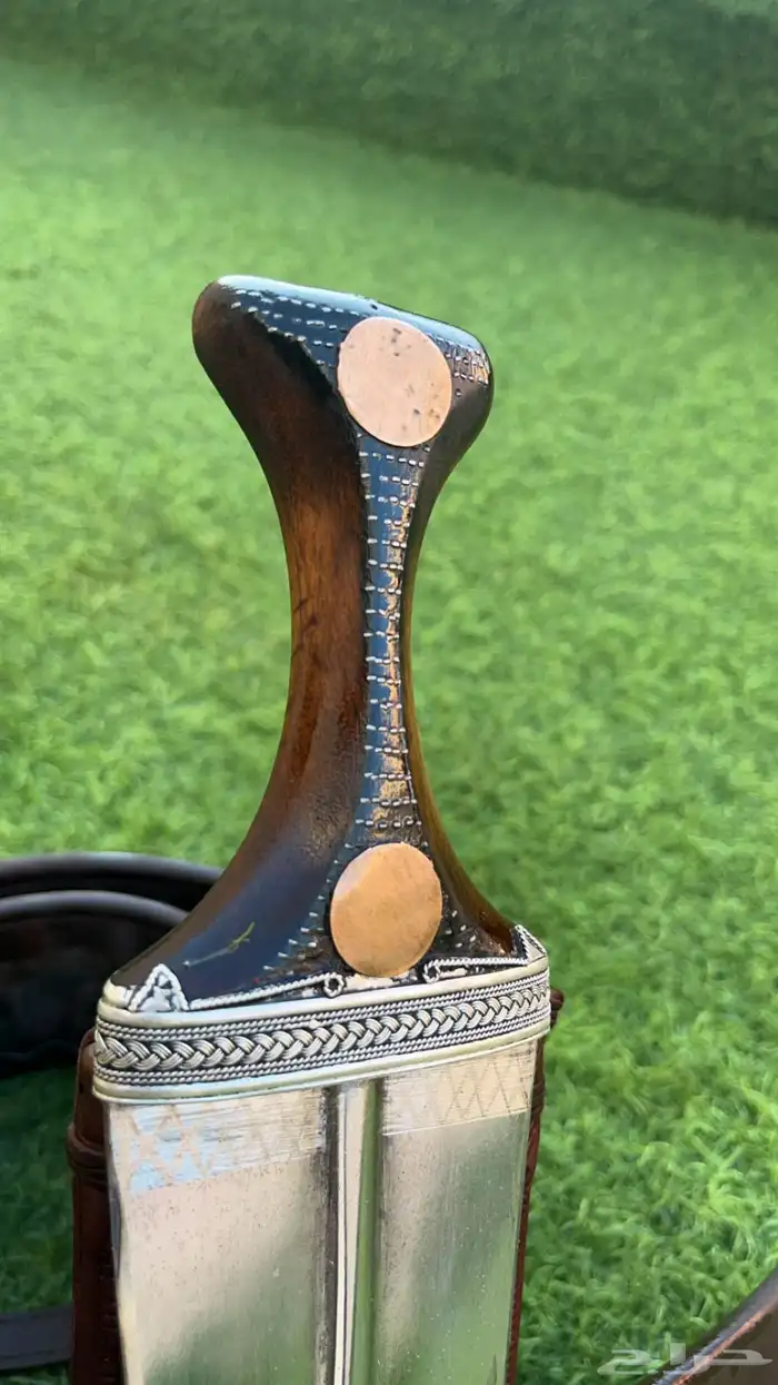 جنبيه 13