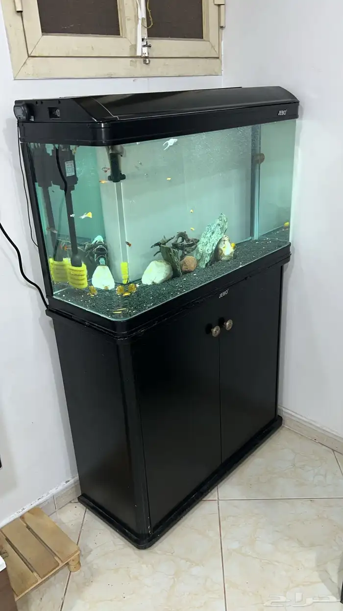 حوض اسماك 3