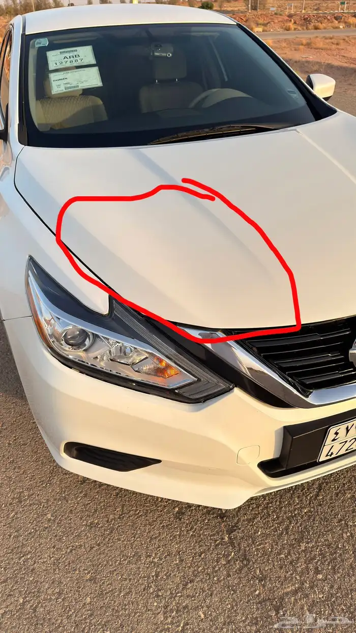 التيما 2018 ستاندر 22